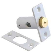 ASEC Window Security Bolt